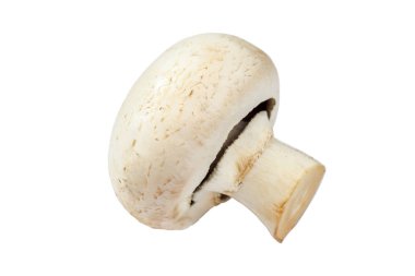 Beyaz arka planda izole edilmiş taze mantar şampiyonları..