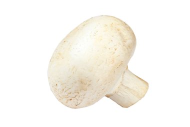 Beyaz arka planda izole edilmiş taze mantar şampiyonları..
