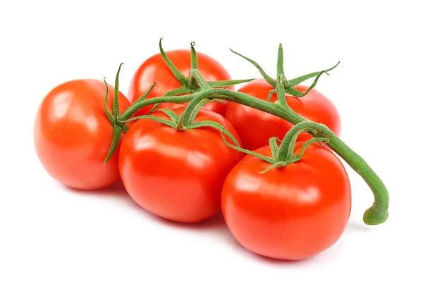 Ramo Tomate Vermelho Fresco Isolado Sobre Fundo Branco — Fotografia de Stock