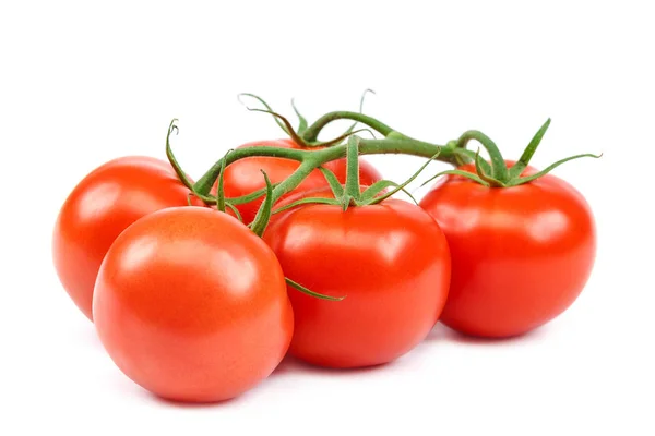 Branch Fresh Red Tomato Isolated White Background — Stock Photo, Image