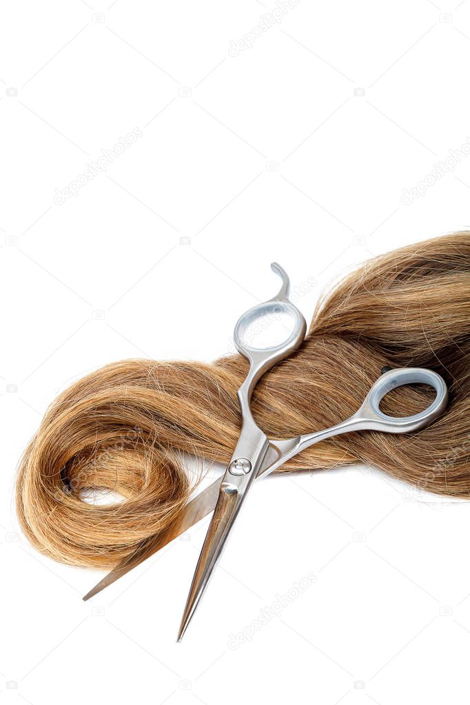 Professional hairdressing scissors and a lock of blond hair isolated on white background.