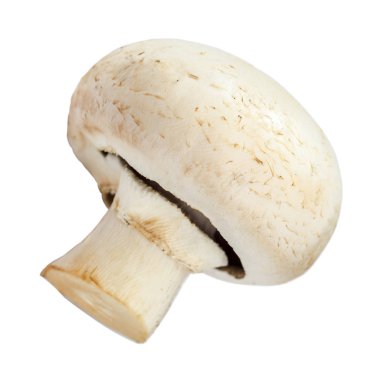 Beyaz arka planda izole edilmiş taze mantar şampiyonları..
