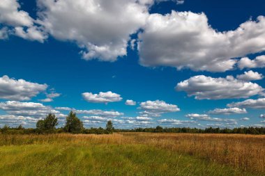 Çayır, ağaçlar mavi gökyüzü beyaz bulutlar ile karşı.