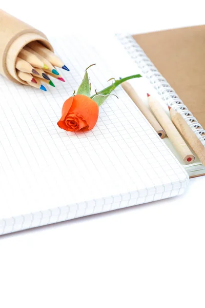 Lápis Coloridos Cadernos Flores Rosas Isoladas Sobre Fundo Branco — Fotografia de Stock