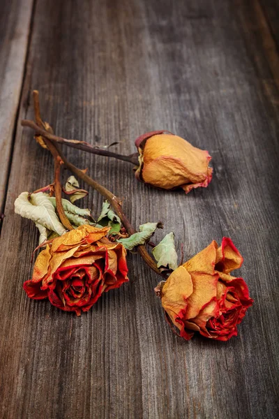 Ahşap Arka Planda Kurumuş Çiçek Gülleri — Stok fotoğraf
