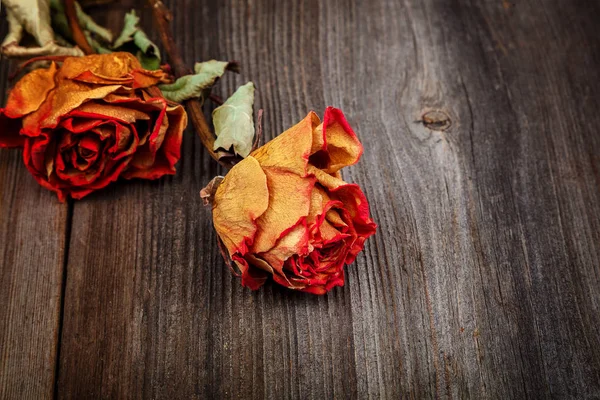 木制底座上的干玫瑰 — 图库照片