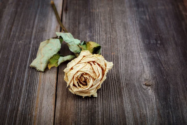 Сушеные Цветы Розы Деревянном Фоне — стоковое фото