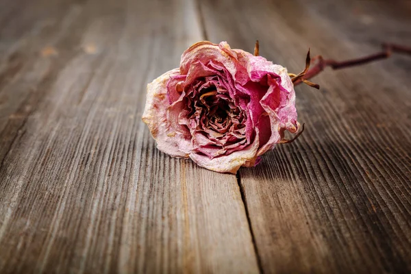 Ahşap Arka Planda Kurumuş Çiçek Gülleri — Stok fotoğraf
