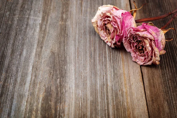 Dried flowers roses on a wooden background.