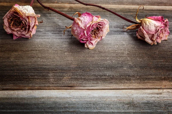 Dried flowers roses on a wooden background.