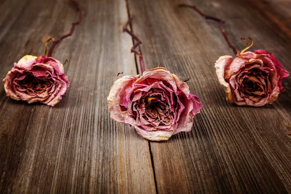 Torkade Blommor Rosor Trä Bakgrund — Stockfoto