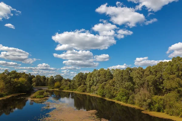 Nehir Ağaçlar Çayır Mavi Gökyüzü Beyaz Bulutlar Ile Karşı — Stok fotoğraf