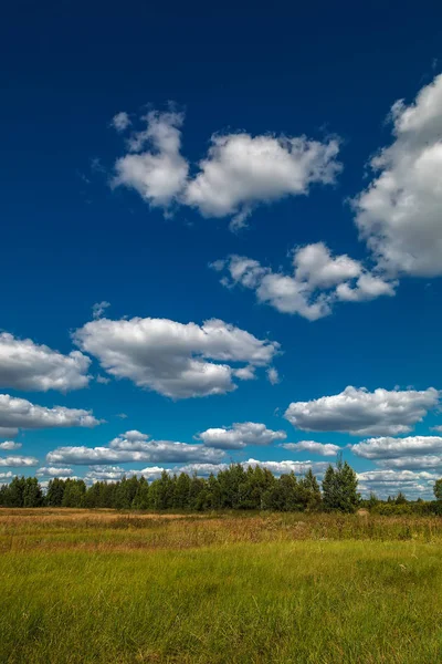 Meadow Trees Blue Sky White Clouds — Stock Photo, Image