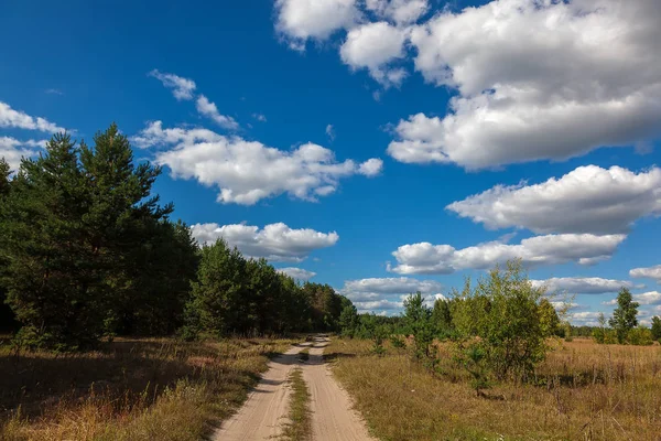 Route Arbres Prairie Contre Ciel Bleu Avec Des Nuages Blancs — Photo