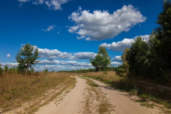 Road, ağaçlar, çayır mavi gökyüzü beyaz bulutlar ile karşı.