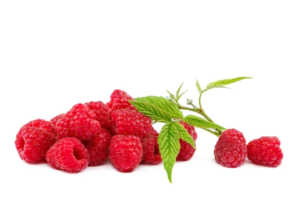 Frutos Frambuesas Aisladas Sobre Fondo Blanco —  Fotos de Stock