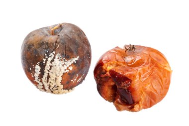 Meyve elma ile izole üzerinde beyaz arka plan rot.