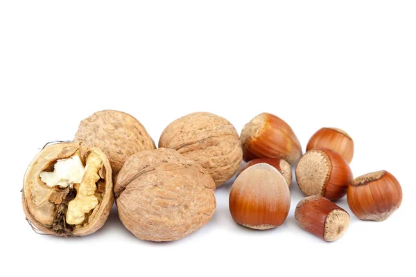Lískové Ořechy Vlašské Ořechy Izolované Bílém Pozadí — Stock fotografie