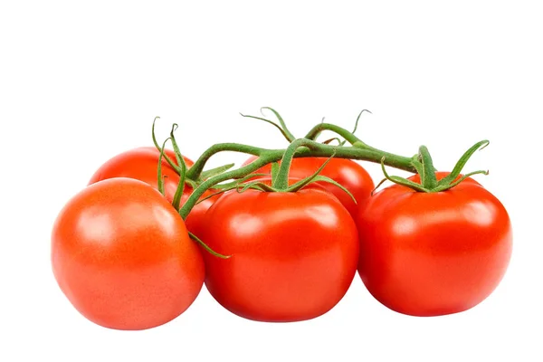 Zweig Einer Frischen Roten Tomate Isoliert Auf Weißem Hintergrund — Stockfoto
