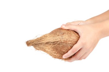 Beyaz arka plan üzerinde izole elinde Hindistan cevizi.