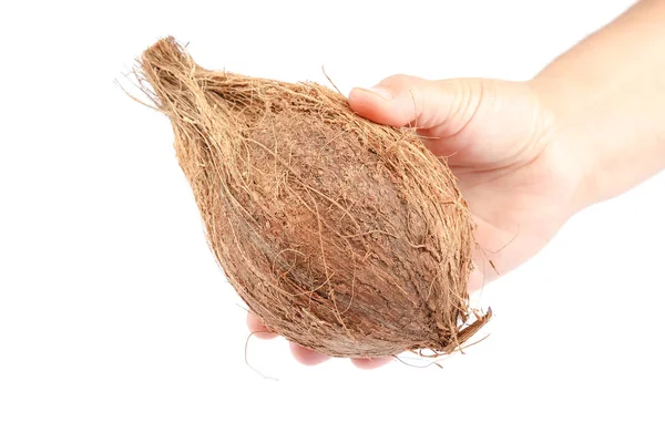 Kokosnoot Hand Geïsoleerd Witte Achtergrond — Stockfoto
