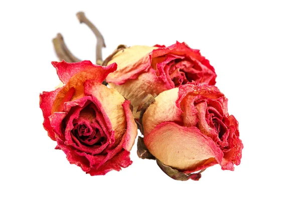Suszone Kwiaty Róży Białym Tle — Zdjęcie stockowe