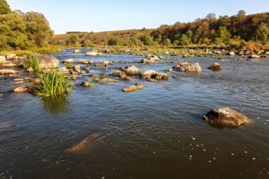 Taş ve ağaçlar kıyısında River rapids.