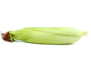 Beyaz arkaplanda izole edilmiş tatlı mısır.