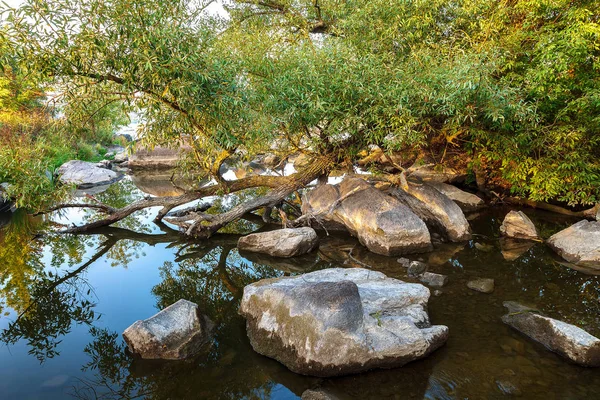 Rapide Fluviali Con Pietra Alberi Sulla Riva — Foto Stock