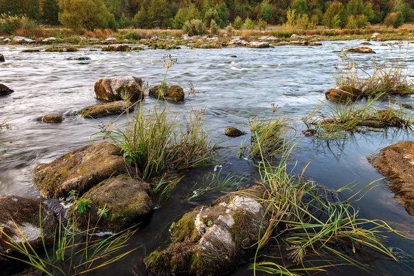 Rapids Ποταμού Πέτρα Και Δέντρα Στην Ακτή — Φωτογραφία Αρχείου