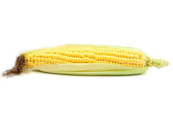 Sweet Corn Isolated White Background — Stock Photo, Image