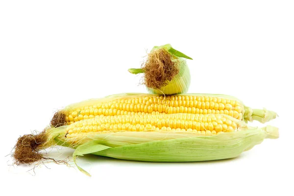 Sweet Corn Isolated White Background — Stock Photo, Image