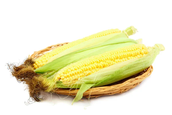 Corn Cobs Wicker Plate Isolated White Background — Stock Photo, Image