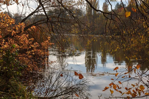 Podzimní Les Řeku Proti Modré Obloze — Stock fotografie