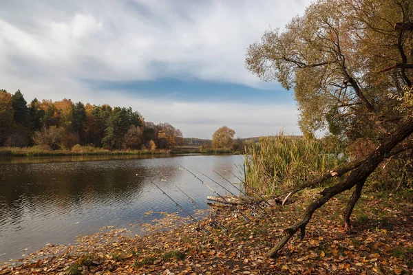 Hösten Skogen Och Floden Mot Den Blå Himlen — Stockfoto