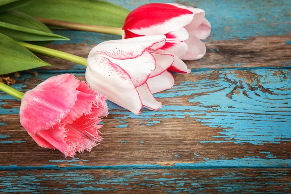 Tulipani Fiori Bouquet Tavole Legno Come Sfondo — Foto Stock