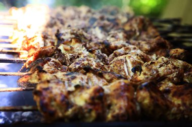 şiş kebap ızgara dumanlı.