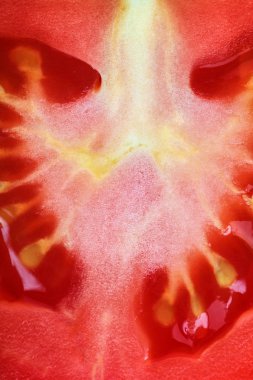 Arka plan olarak domates taze meyve.