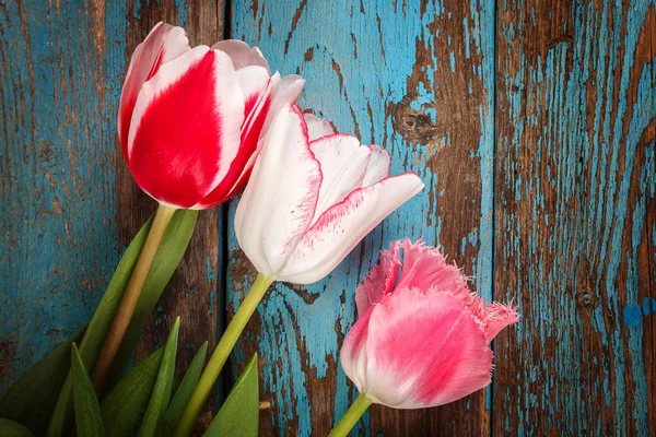 Tulipanes Flores Ramo Tablas Madera Como Fondo —  Fotos de Stock