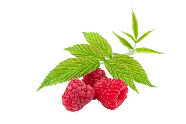 Fruits Raspberries Isolated White Background — Stock Photo, Image