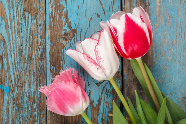 Tulpen Blumen Strauß Von Holzbrettern Als Hintergrund — Stockfoto