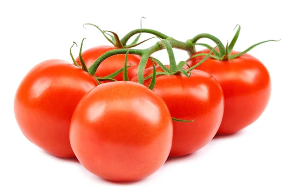 Gałąź Świeżego Czerwonego Pomidora Izolowana Białym Tle — Zdjęcie stockowe