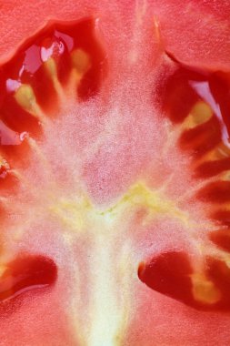 Arka plan olarak domates taze meyve.