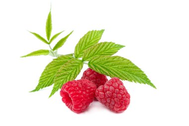 Beyaz arka planda meyveli ahududular izole.