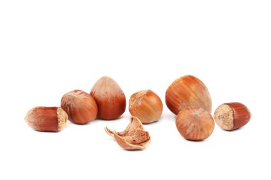 Hindistan cevizi ve beyaz arka plan üzerinde izole fındık.