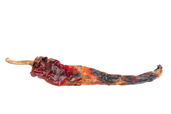 Trockene Verfaulte Rote Paprika Isoliert Auf Weißem Hintergrund — Stockfoto