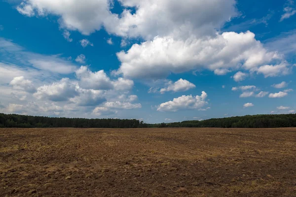 Terra di un campo arato contro un cielo blu con nuvole — Foto Stock