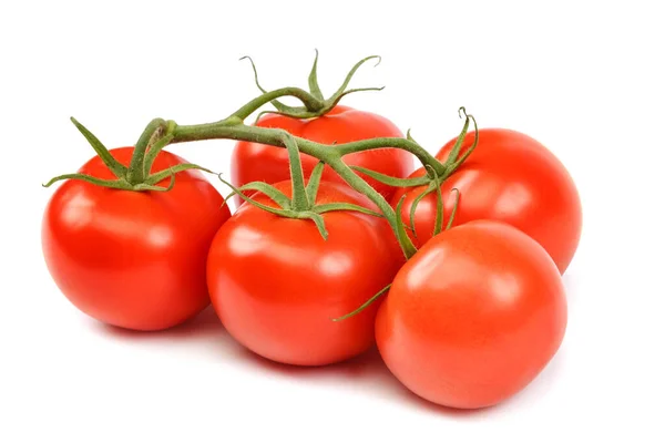 Fresh red tomato, on a white background. — Stock Photo, Image