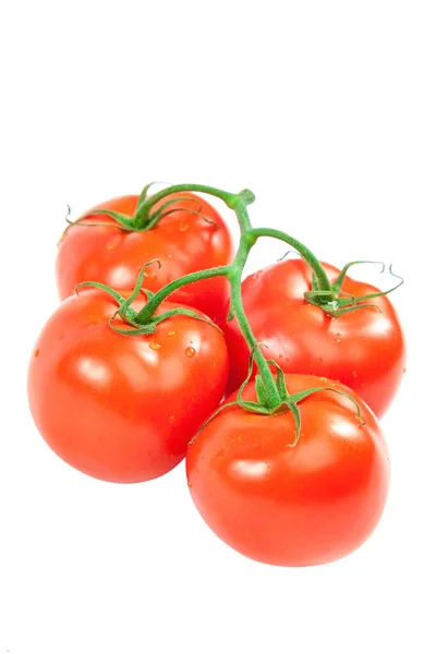 Tak van verse rode tomaten geïsoleerd op witte achtergrond. — Stockfoto