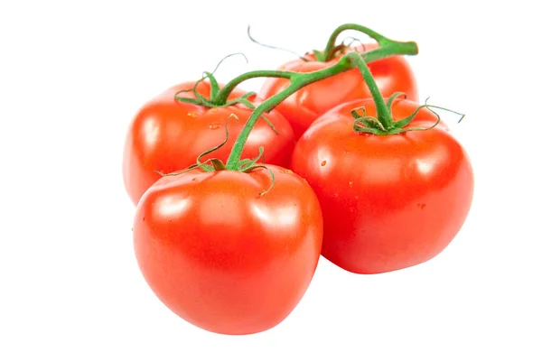 Ramo di pomodori rossi freschi isolato su sfondo bianco . — Foto Stock